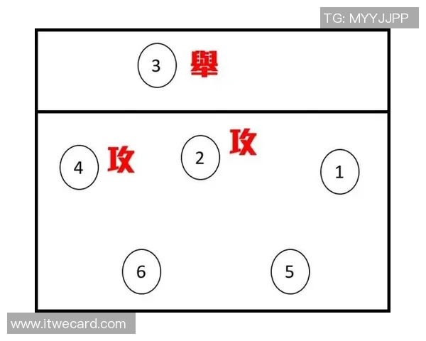 上海排球队选拔赛战术分析与表现评估探讨